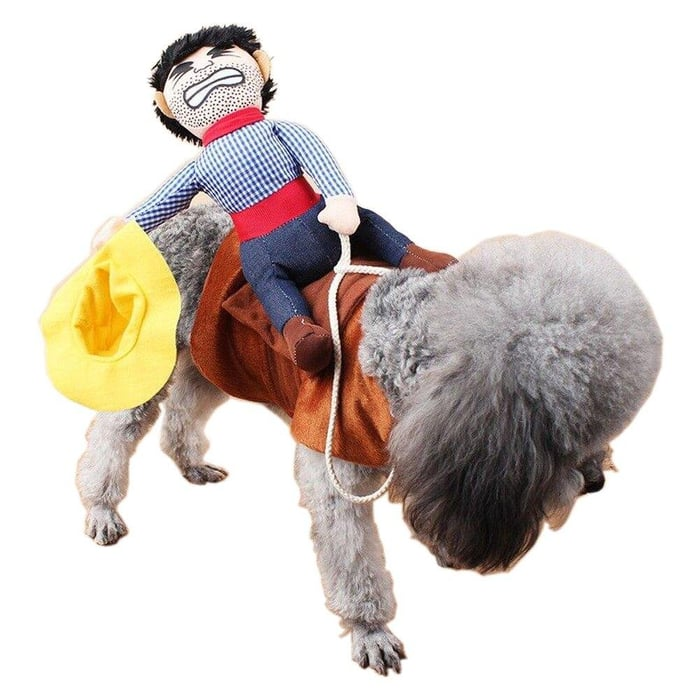 Dog Costume – Cowboy Rider Outfit